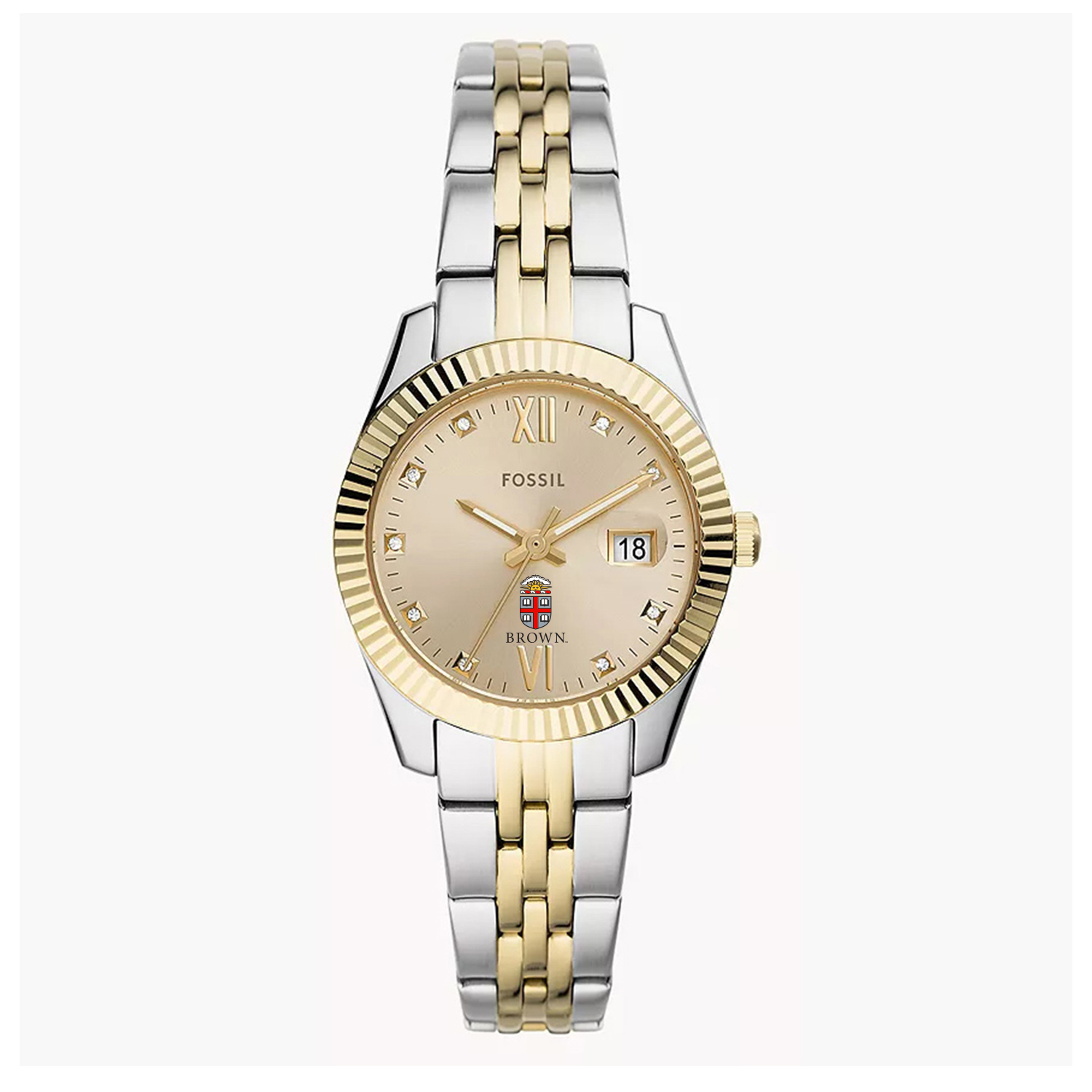 Women's Fossil Brown Bears Scarlette Two-Tone Stainless Steel Watch