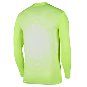 Maillot de foot Replica Nike Dri-FIT Paris Saint-Germain 2025/26 Stadium Gardien de but 3e tenue pour homme - Jaune, vue 5
