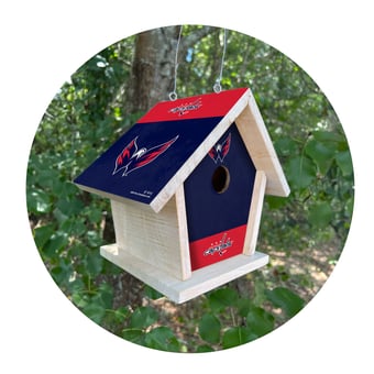 Washington Capitals Team Pride Bird House
