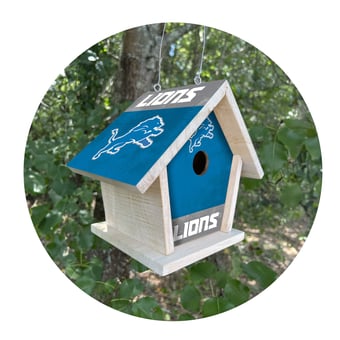 Detroit Lions Team Pride Bird House