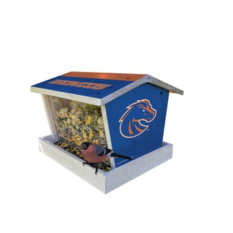 Boise State Broncos Team Pride Bird Feeder