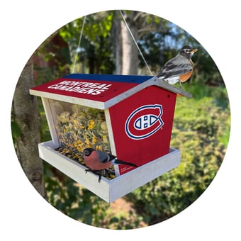 Montreal Canadiens Team Pride Bird Feeder