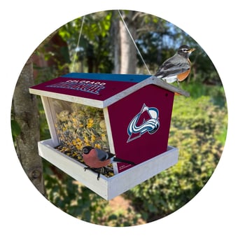 Colorado Avalanche Team Pride Bird Feeder