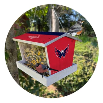 Washington Capitals Team Pride Bird Feeder