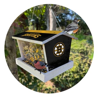 Boston Bruins Team Pride Bird Feeder