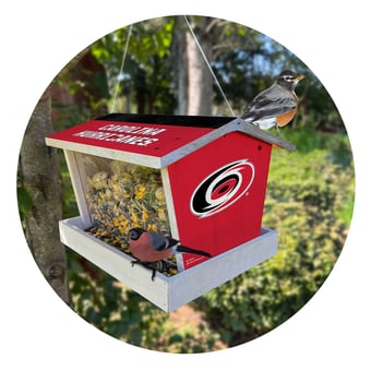 Carolina Hurricanes Team Pride Bird Feeder