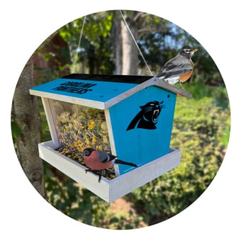 Carolina Panthers Team Pride Bird Feeder