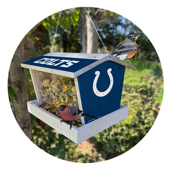 Indianapolis Colts Team Pride Bird Feeder