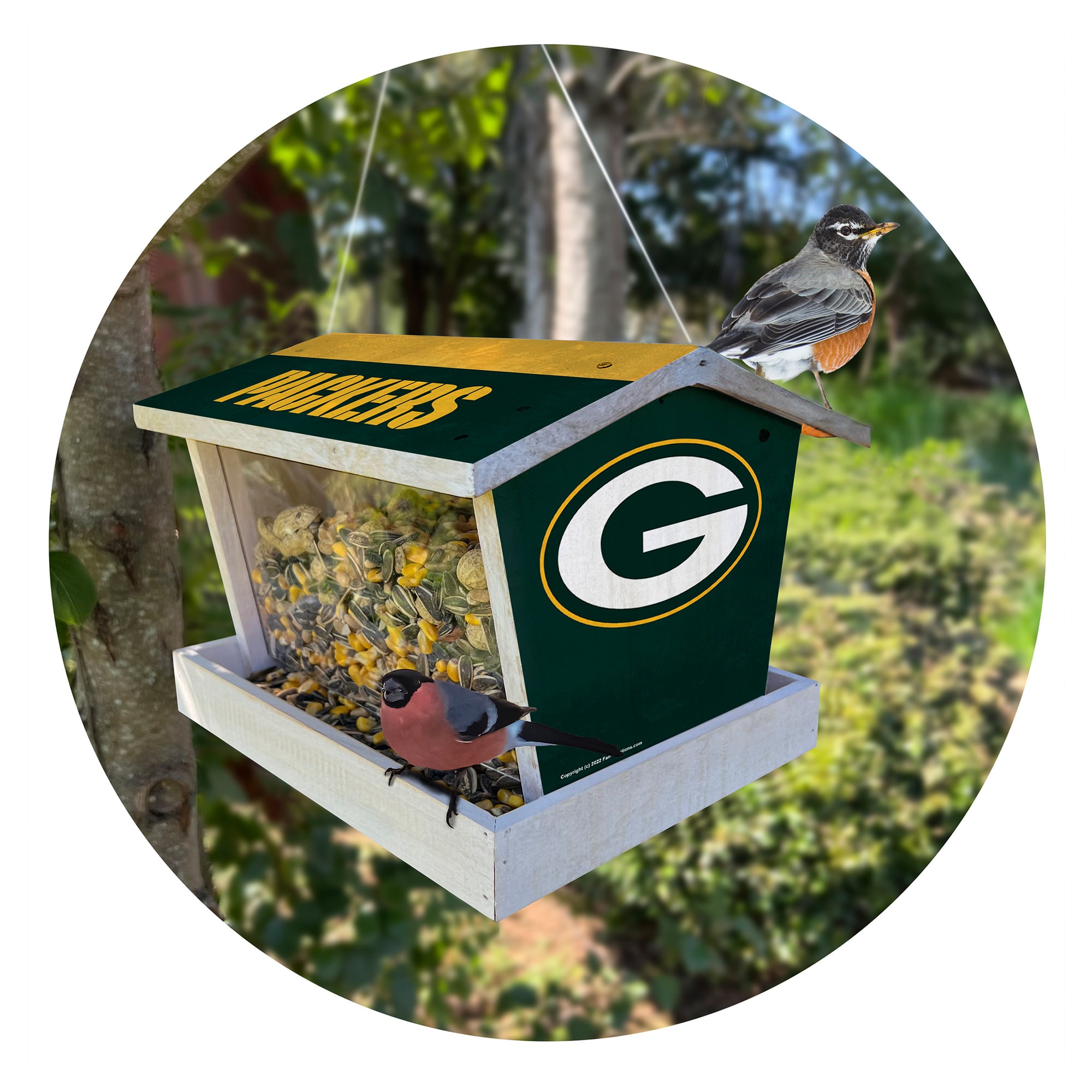 Green Bay Packers Team Pride Bird Feeder