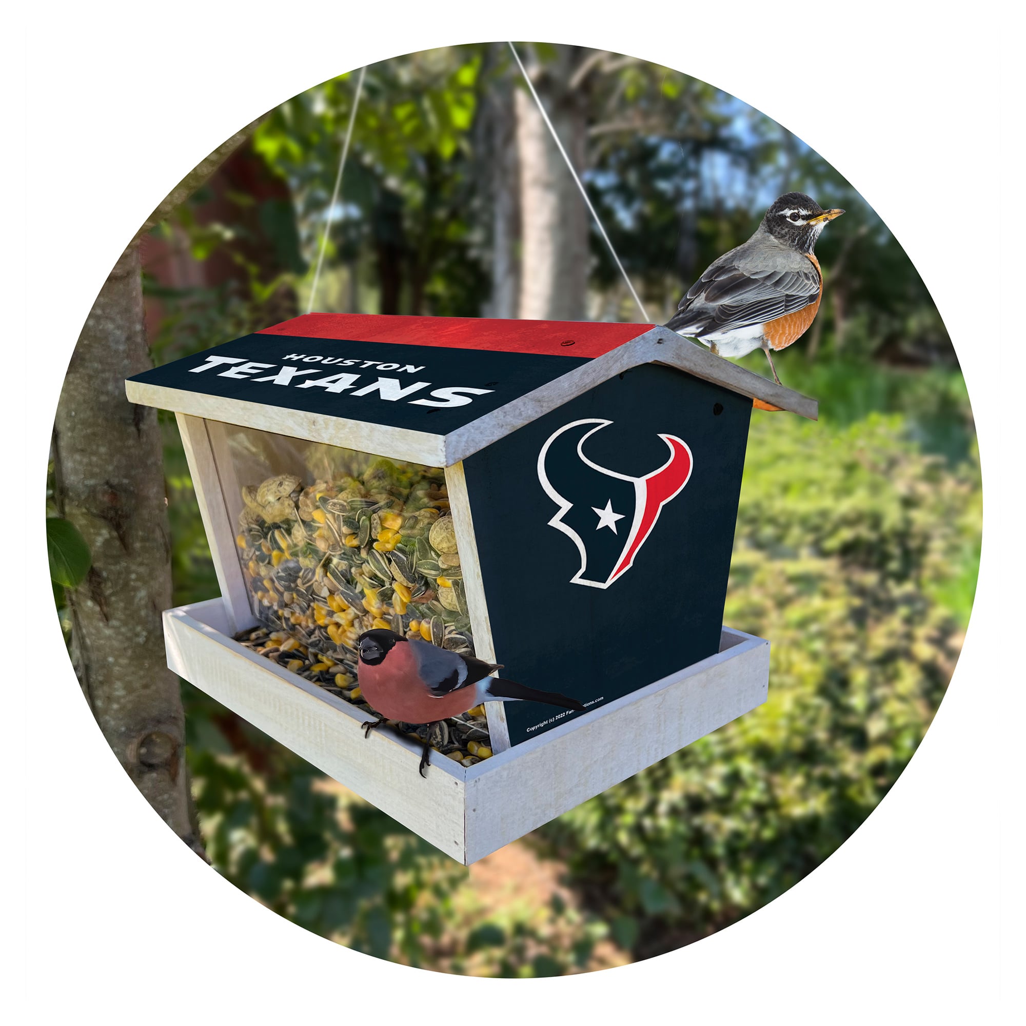 Houston Texans Team Pride Bird Feeder