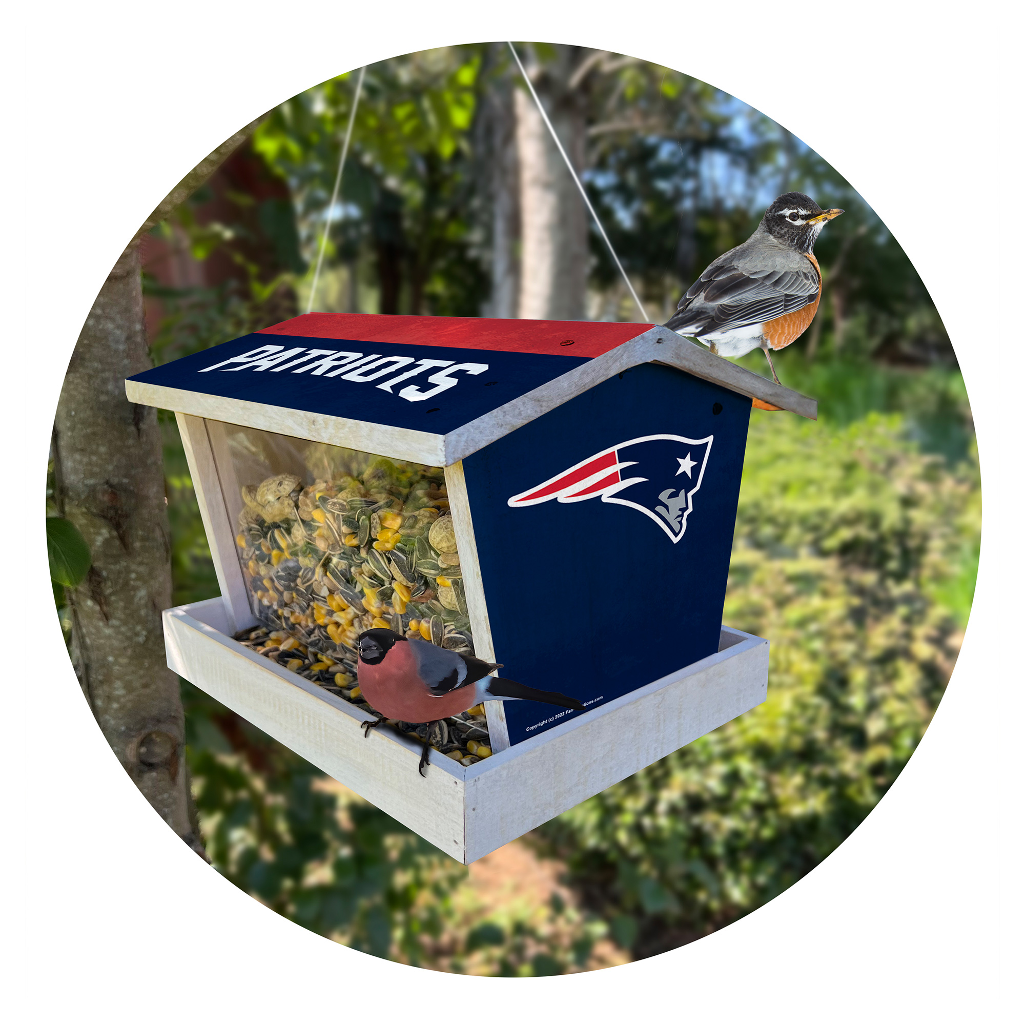 New England Patriots Team Pride Bird Feeder