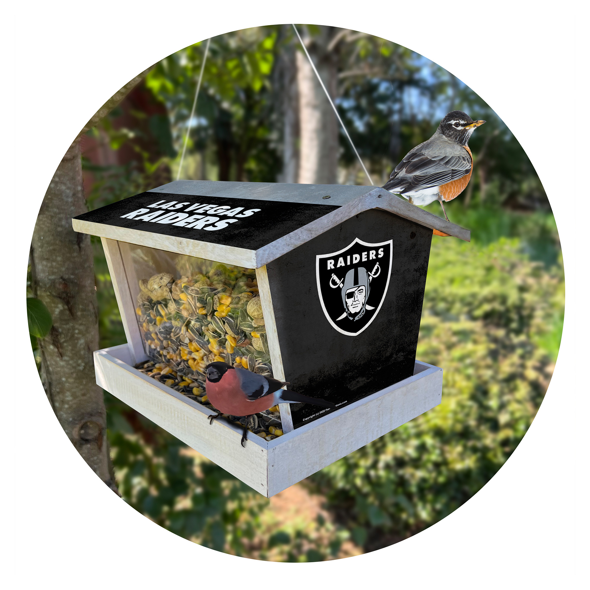 Las Vegas Raiders Team Pride Bird Feeder
