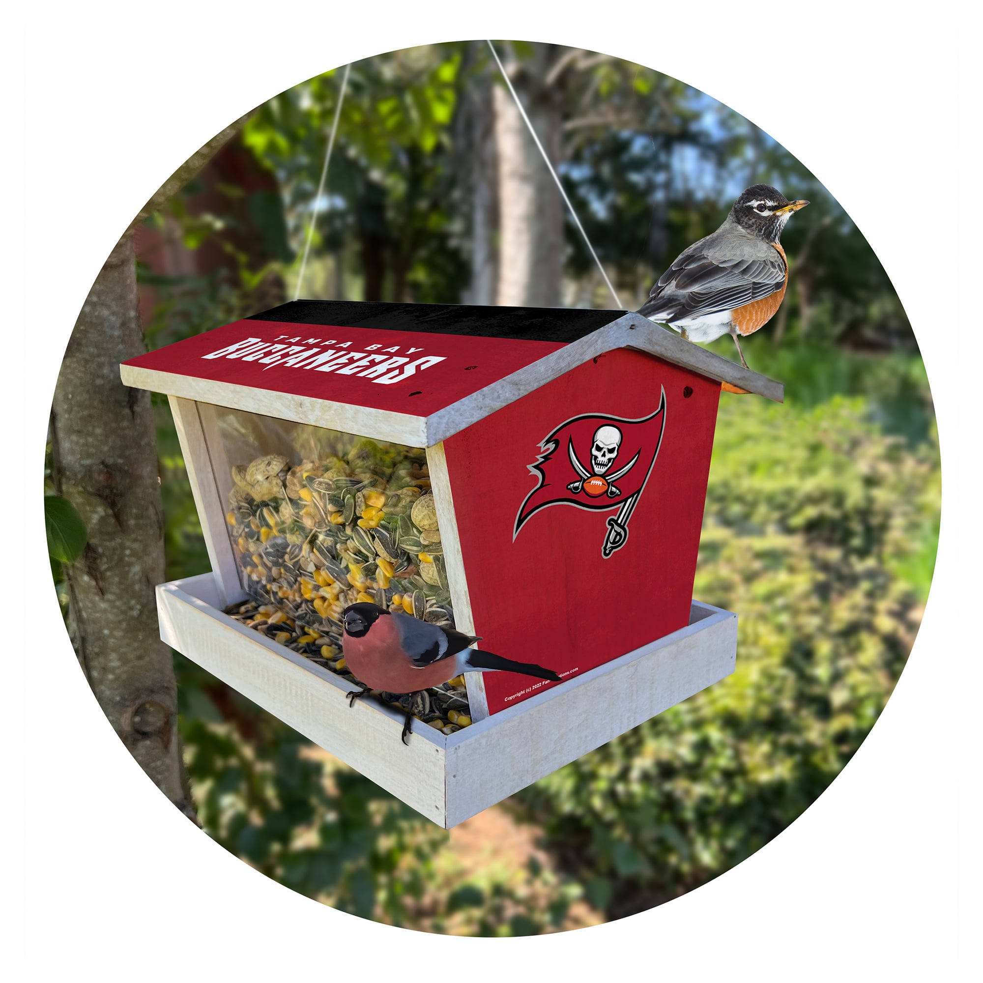Tampa Bay Buccaneers Team Pride Bird Feeder