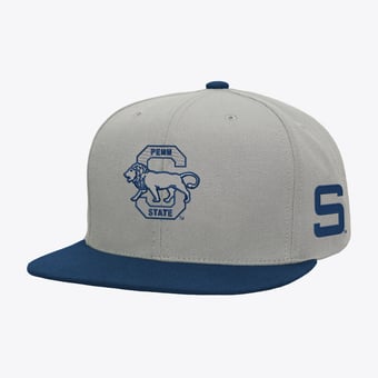 Men's Mitchell & Ness  Gray/Navy Penn State Nittany Lions Plaid OG Snapback Hat