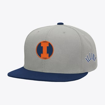 Men's Mitchell & Ness  Gray/Navy Illinois Fighting Illini Plaid OG Snapback Hat