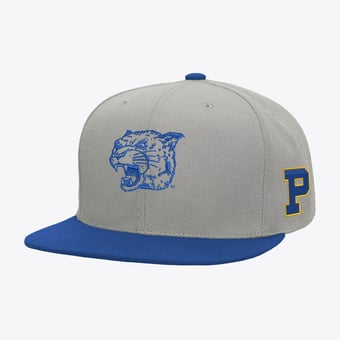 Men's Mitchell & Ness  Gray/Royal Pitt Panthers Plaid OG Snapback Hat