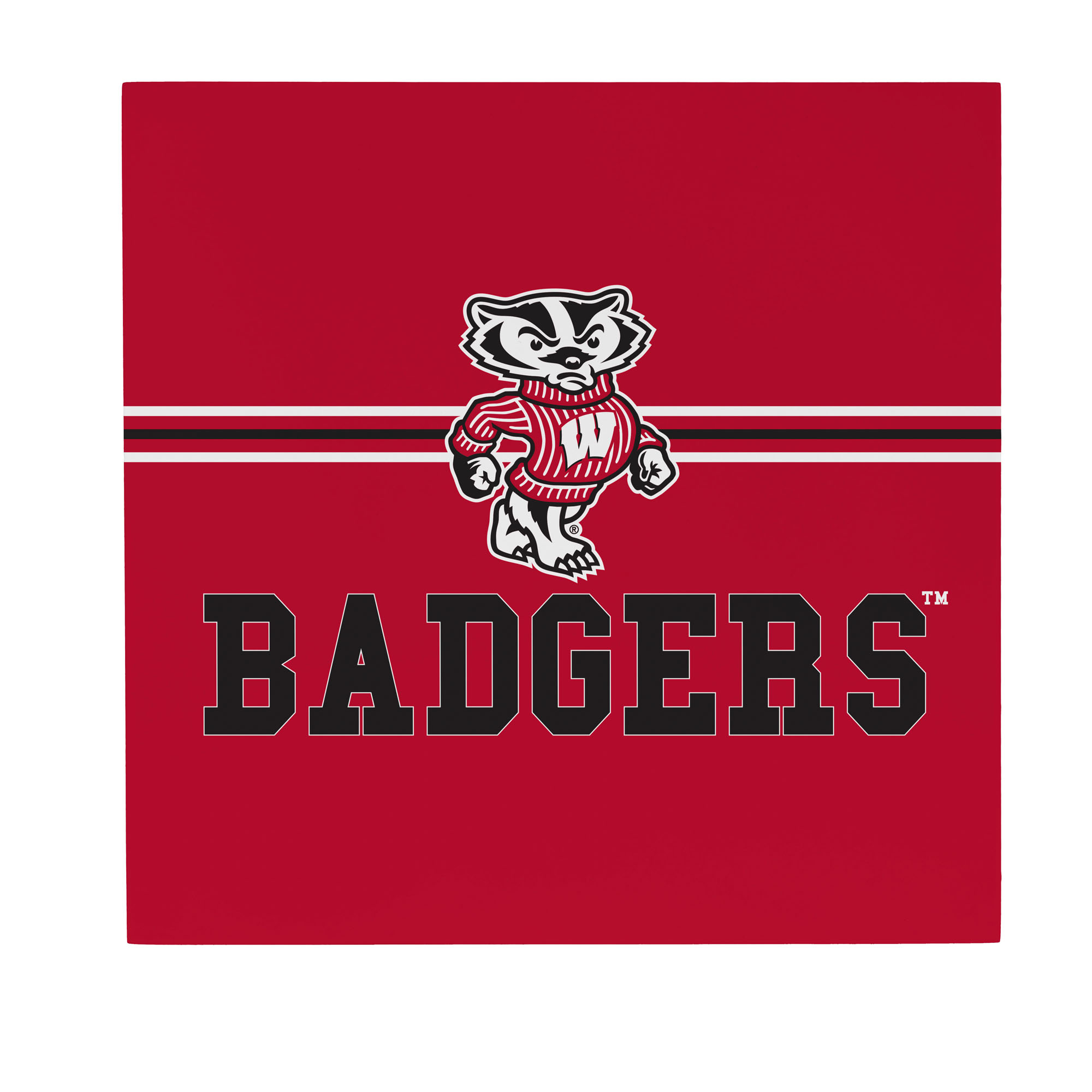 Wisconsin Badgers 12" x 12" Wood Wall Sign