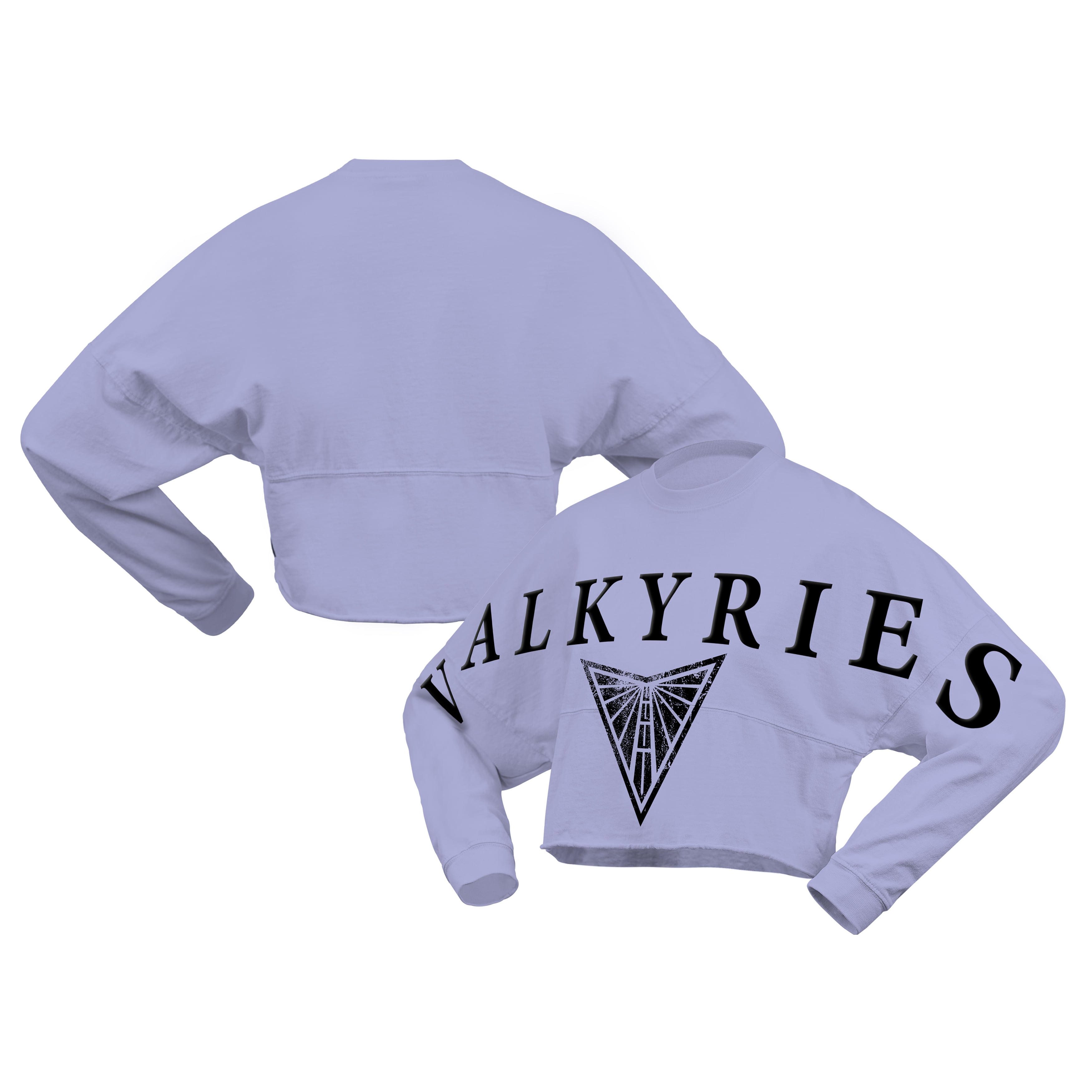 Women's Spirit Jersey Violet Golden State Valkyries Jumbo Print Oversized Cropped Long-Sleeve T-Shirt