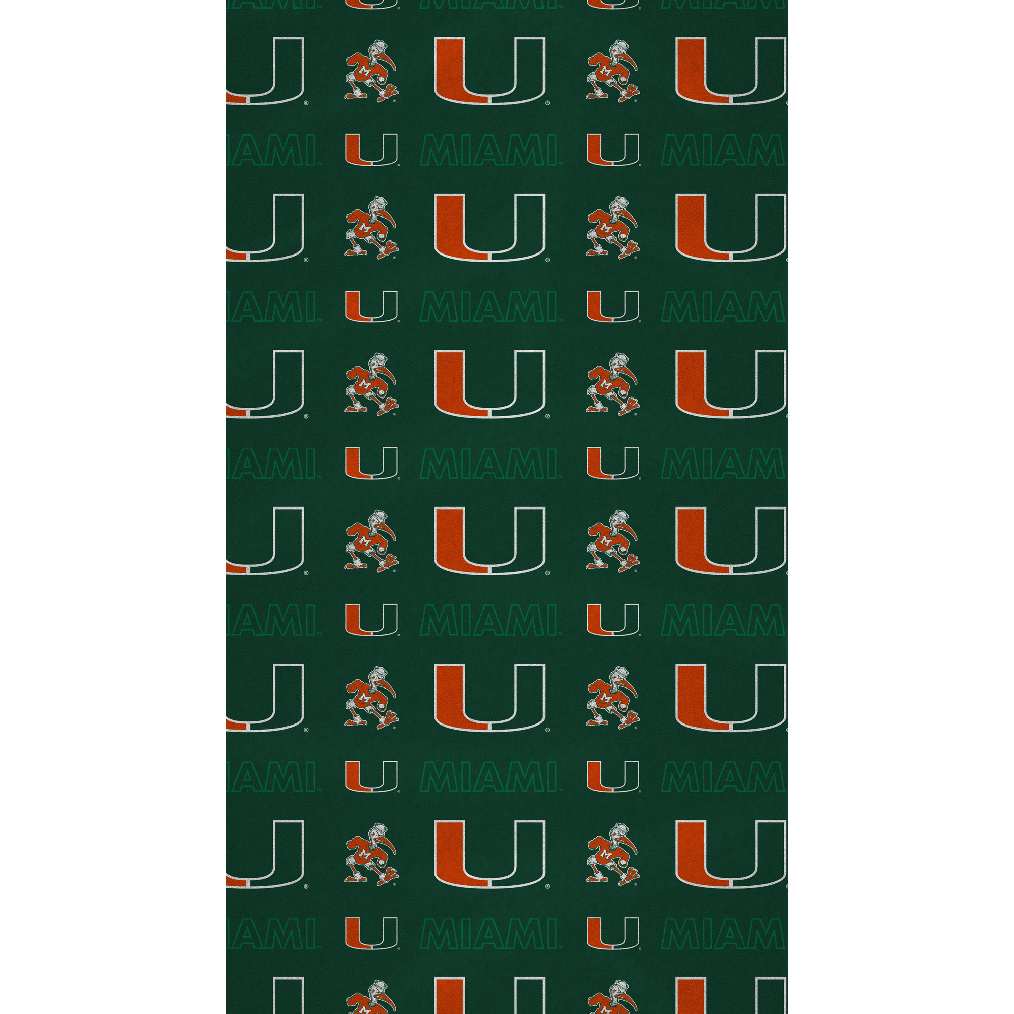 Pegasus Miami Hurricanes 40" x 72" Microfiber Beach Towel