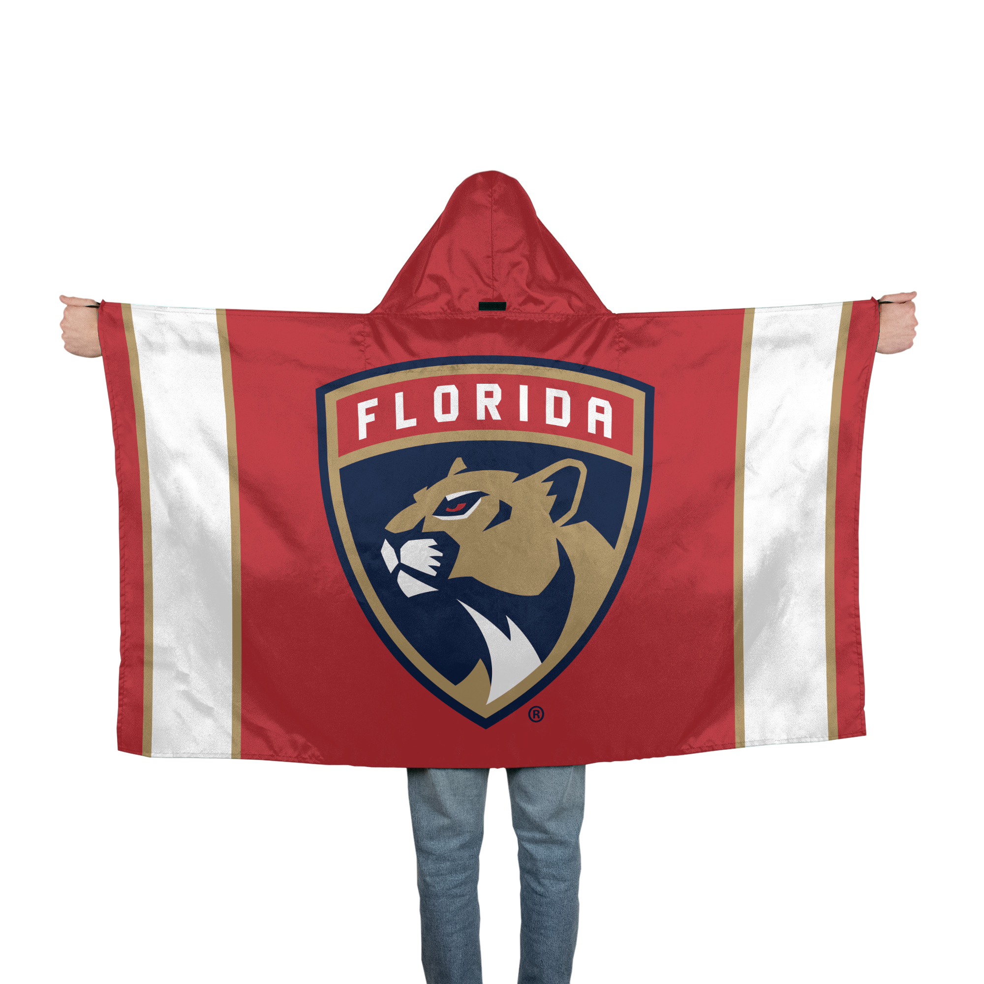 WinCraft Florida Panthers 3' x 5' Hoodie Flag