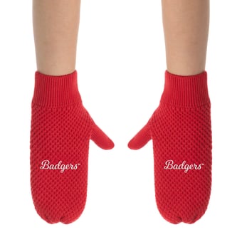 ZooZatz Wisconsin Badgers Knit Bow Headband & Mittens Bundle