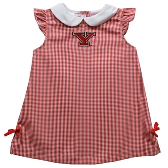 Toddler Girls Vive La Fete Red Youngstown State Penguins Mini Check Pattern A-Line Dress