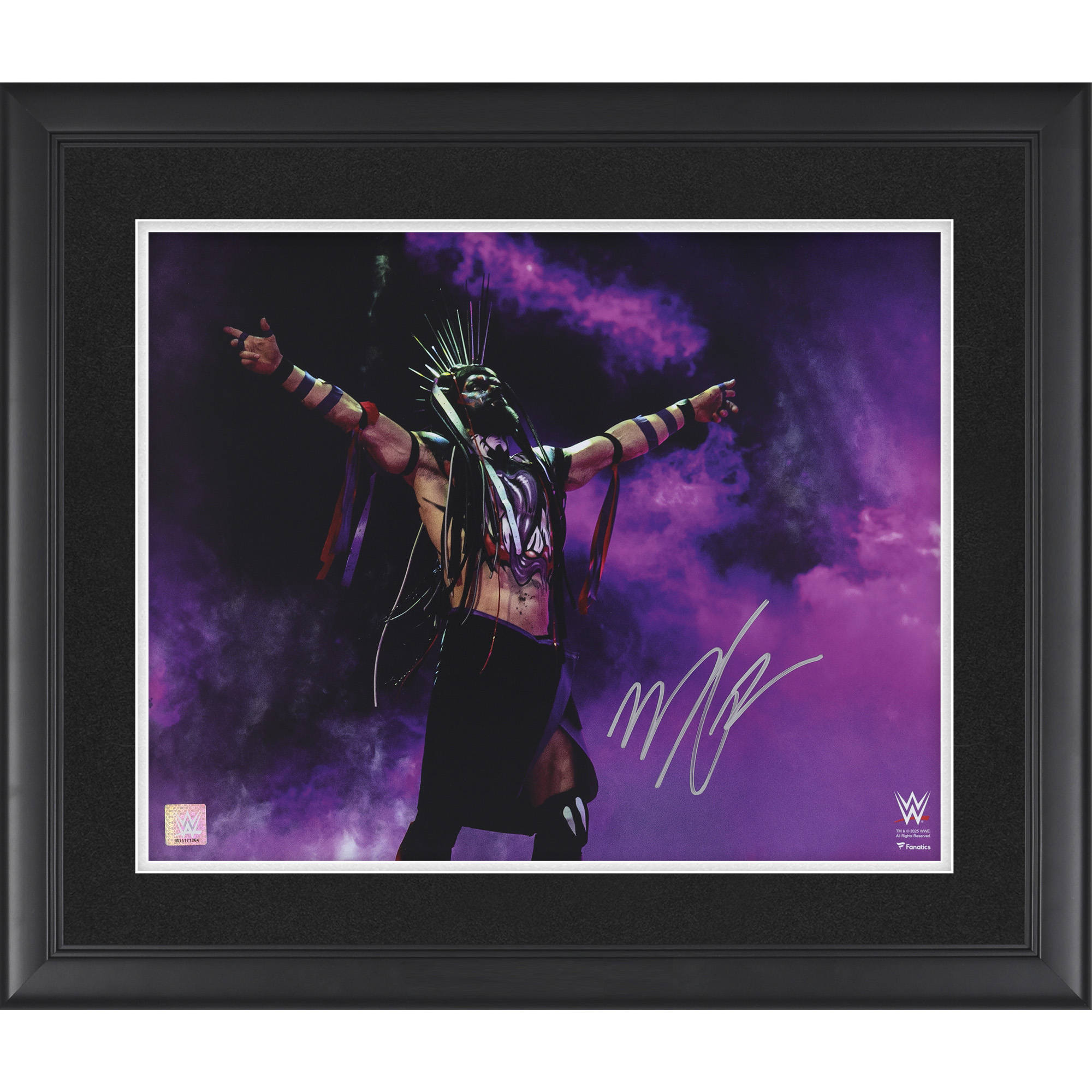 Finn Bálor WWE Autographed Framed 16″ x 20″ Demon Entrance Photograph Finn Bálor WWE Autographed Framed 16″ x 20″ Demon Entrance Photograph