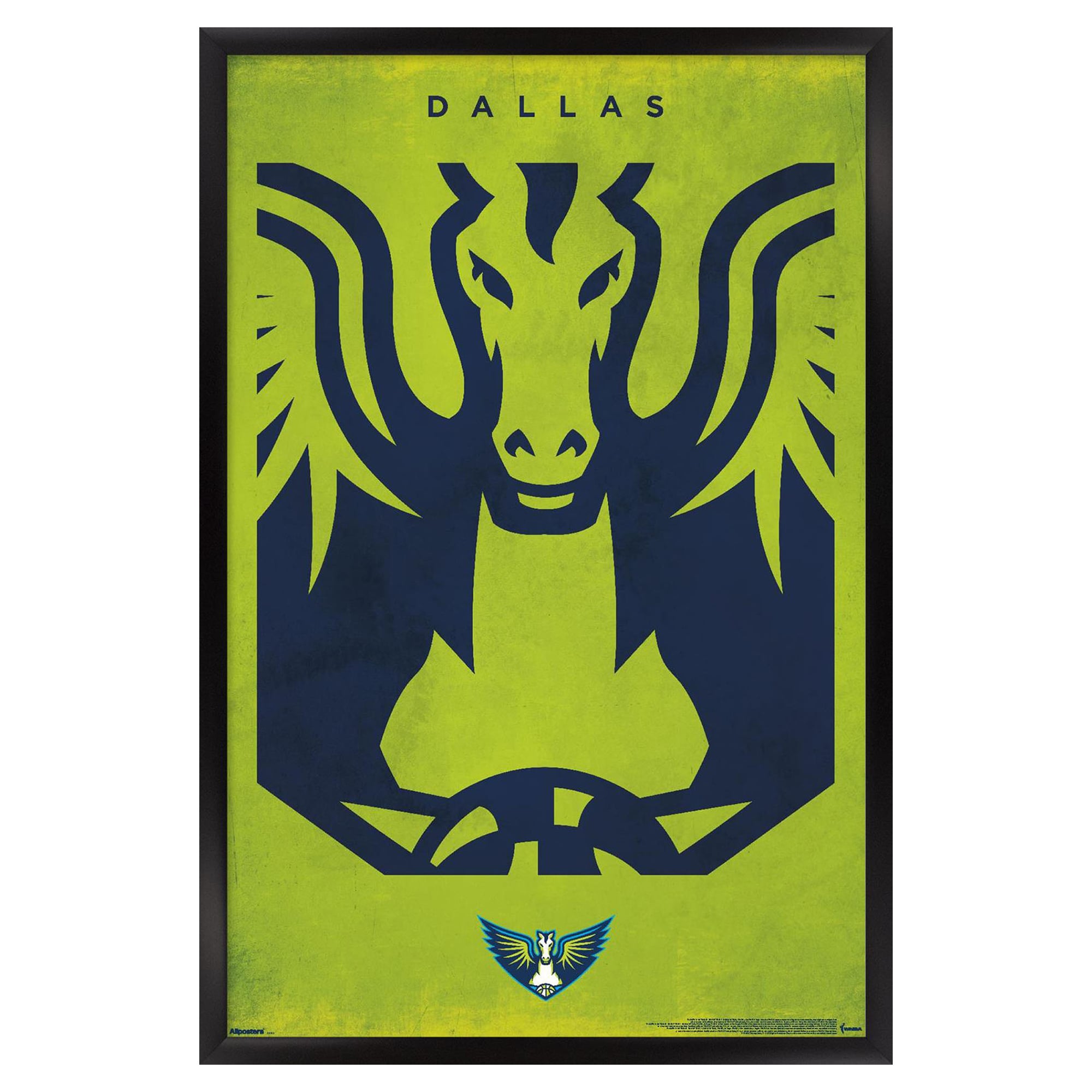 Dallas Wings 24" x 36" Framed Poster