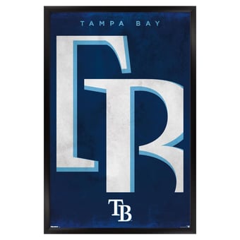 Tampa Bay Rays 24" x 36" Framed Poster