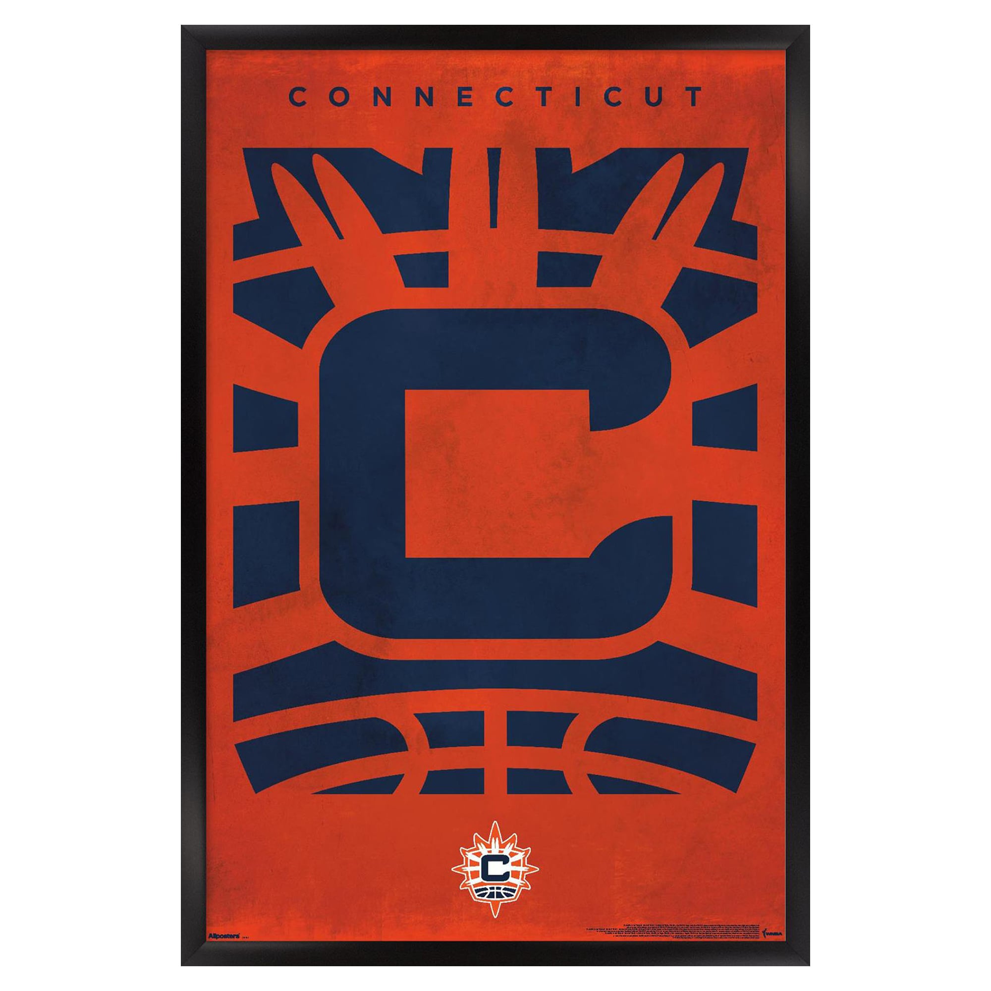 Connecticut Sun 24" x 36" Framed Poster