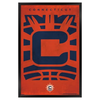 Connecticut Sun 24" x 36" Framed Poster