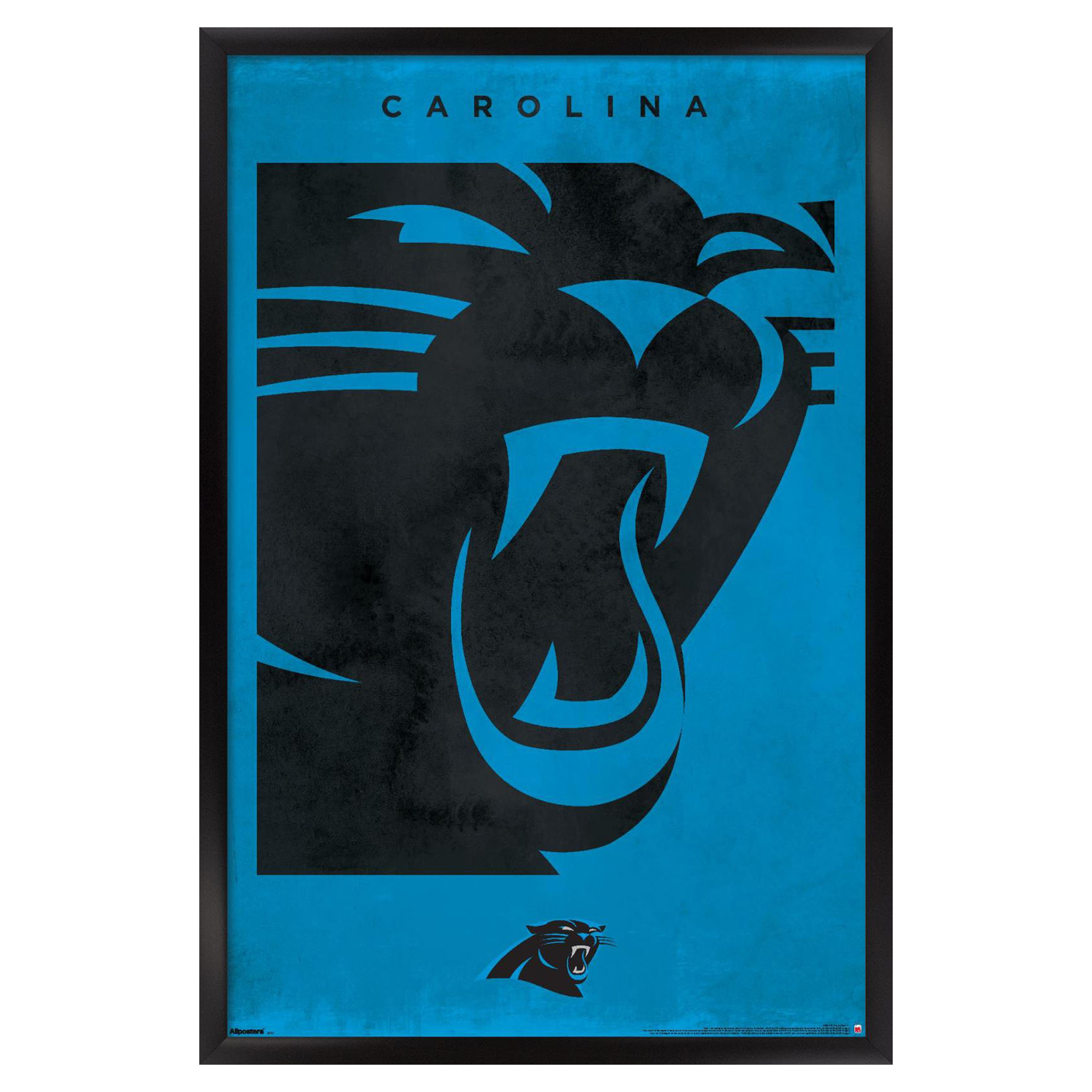 Carolina Panthers 24" x 36" Framed Poster