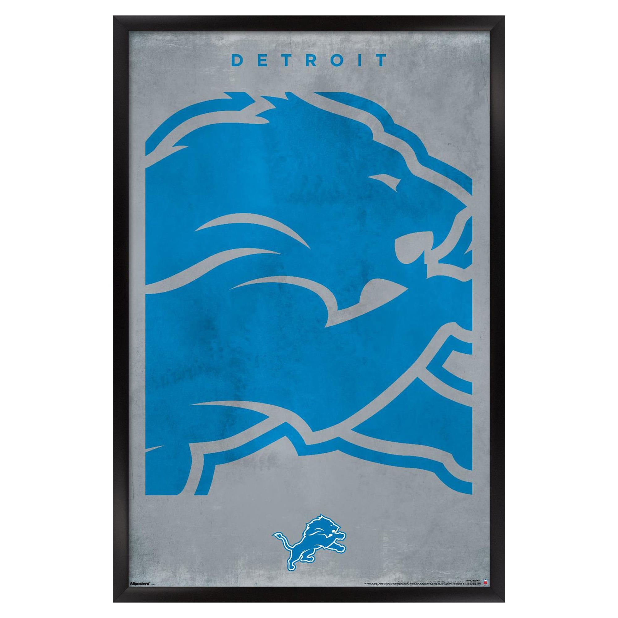 Detroit Lions 24" x 36" Framed Poster