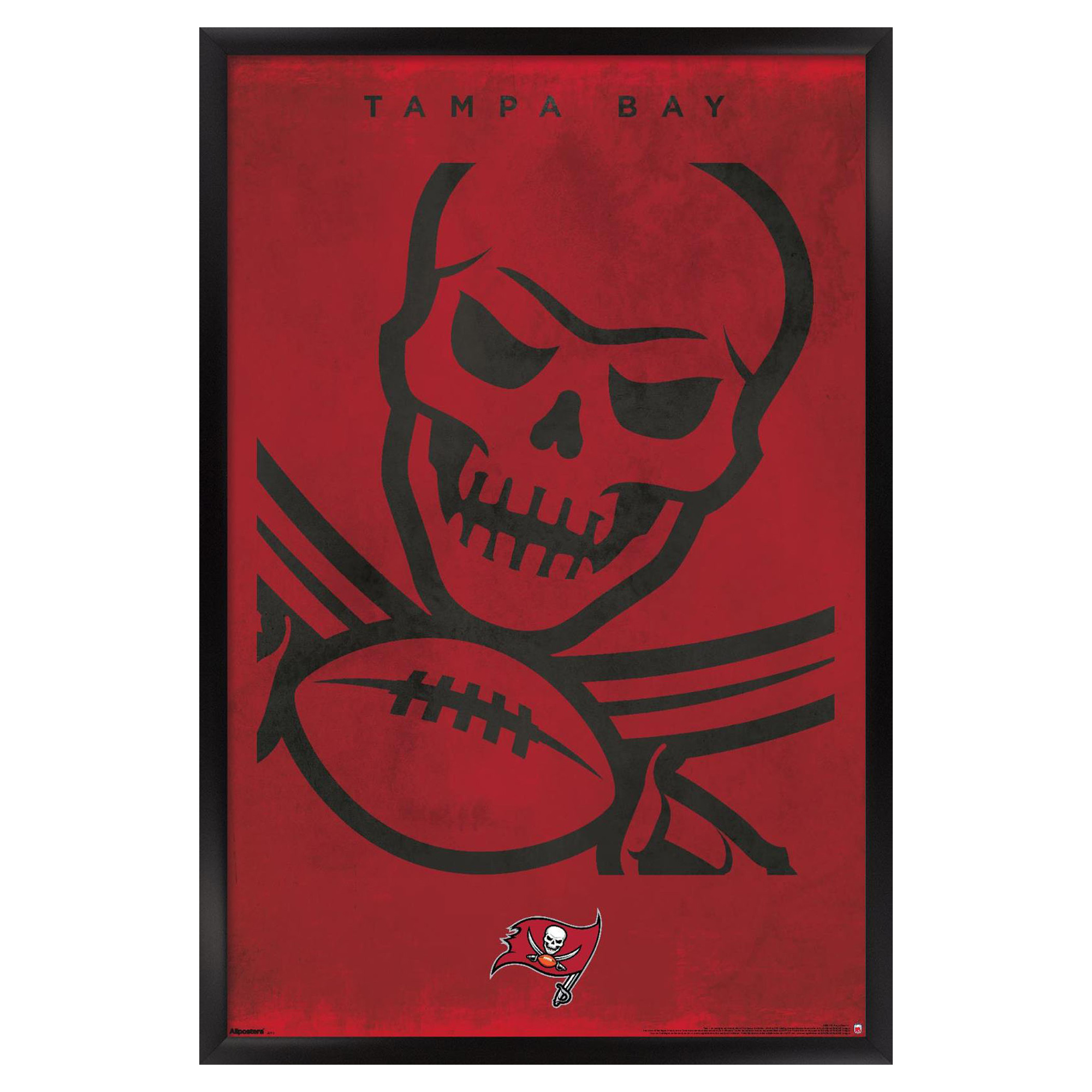 Tampa Bay Buccaneers 24" x 36" Framed Poster