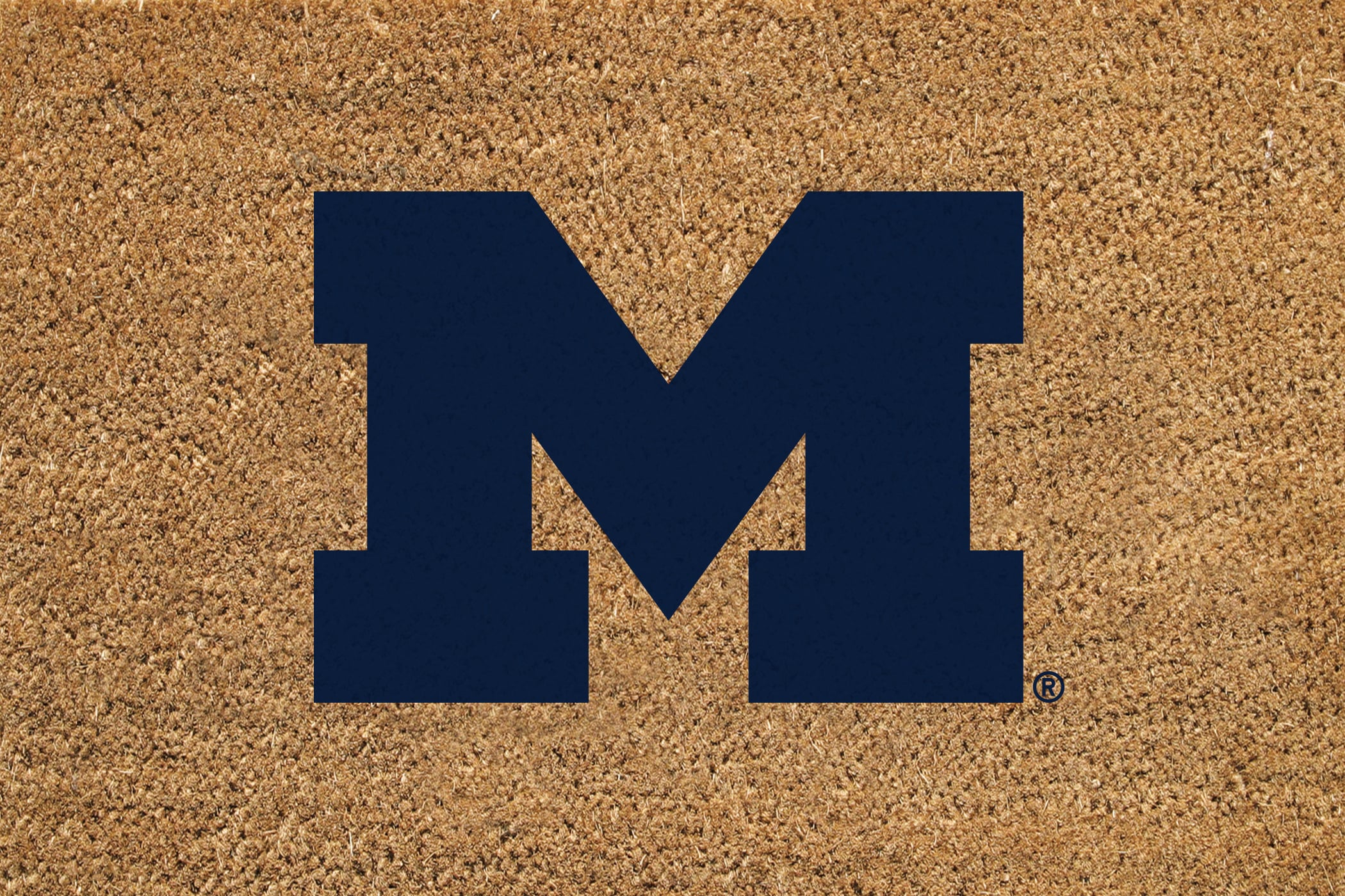 Michigan Wolverines 24" x 36" Outdoor Team Logo Coir Mat