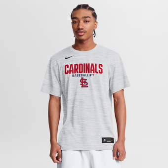 Men's Nike White St. Louis Cardinals Authentic Collection Velocity Dri-FIT T-Shirt
