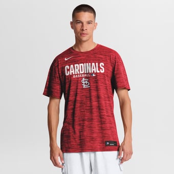 Men's Nike Red St. Louis Cardinals Authentic Collection Velocity Dri-FIT T-Shirt