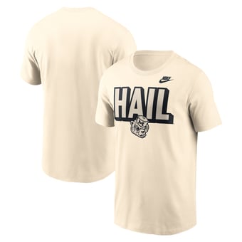 Men's Nike Natural Michigan Wolverines Team Bold T-Shirt