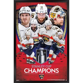 Florida Panthers 2025 Stanley Cup Champions Framed 22.375" x 34" Poster