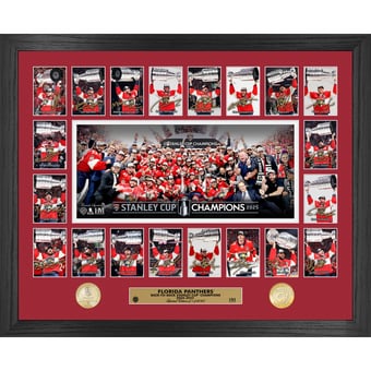 Highland Mint Florida Panthers 2025 Stanley Cup Champions 18" x 22" Memorable Moments Bronze Coin Photo Mint