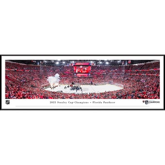 Florida Panthers 2025 Stanley Cup Champions Standard Framed Panorama Photograph