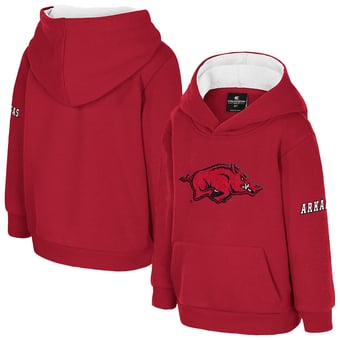 Toddler Colosseum  Cardinal Arkansas Razorbacks Big Logo Fleece Pullover Hoodie