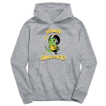 Youth Vive La Fete Gray Iowa Hawkeyes Dino-Rrific Pullover Hoodie