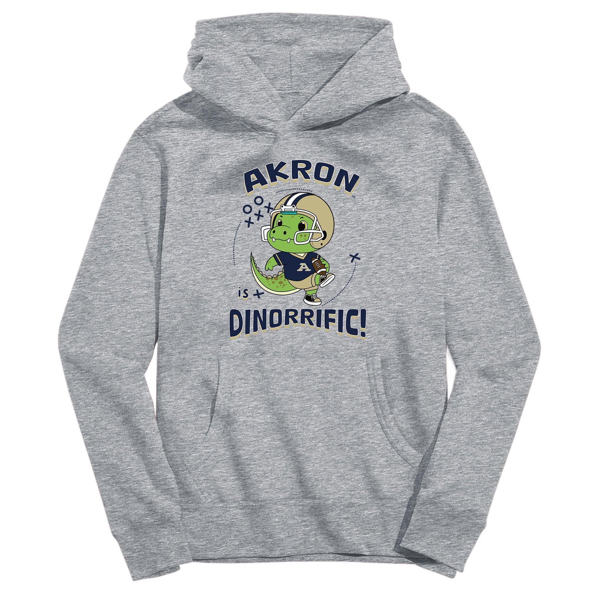 Youth Vive La Fete Gray Akron Zips Dino-Rrific Pullover Hoodie