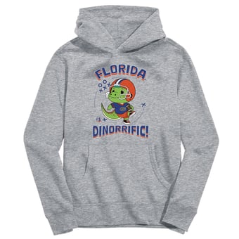 Youth Vive La Fete Gray Florida Gators Dino-Rrific Pullover Hoodie