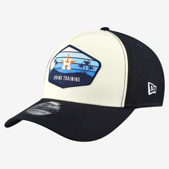 Men's New Era  Stone Houston Astros 2026 Spring Training Fan Pack Gradient 39THIRTY Flex Hat