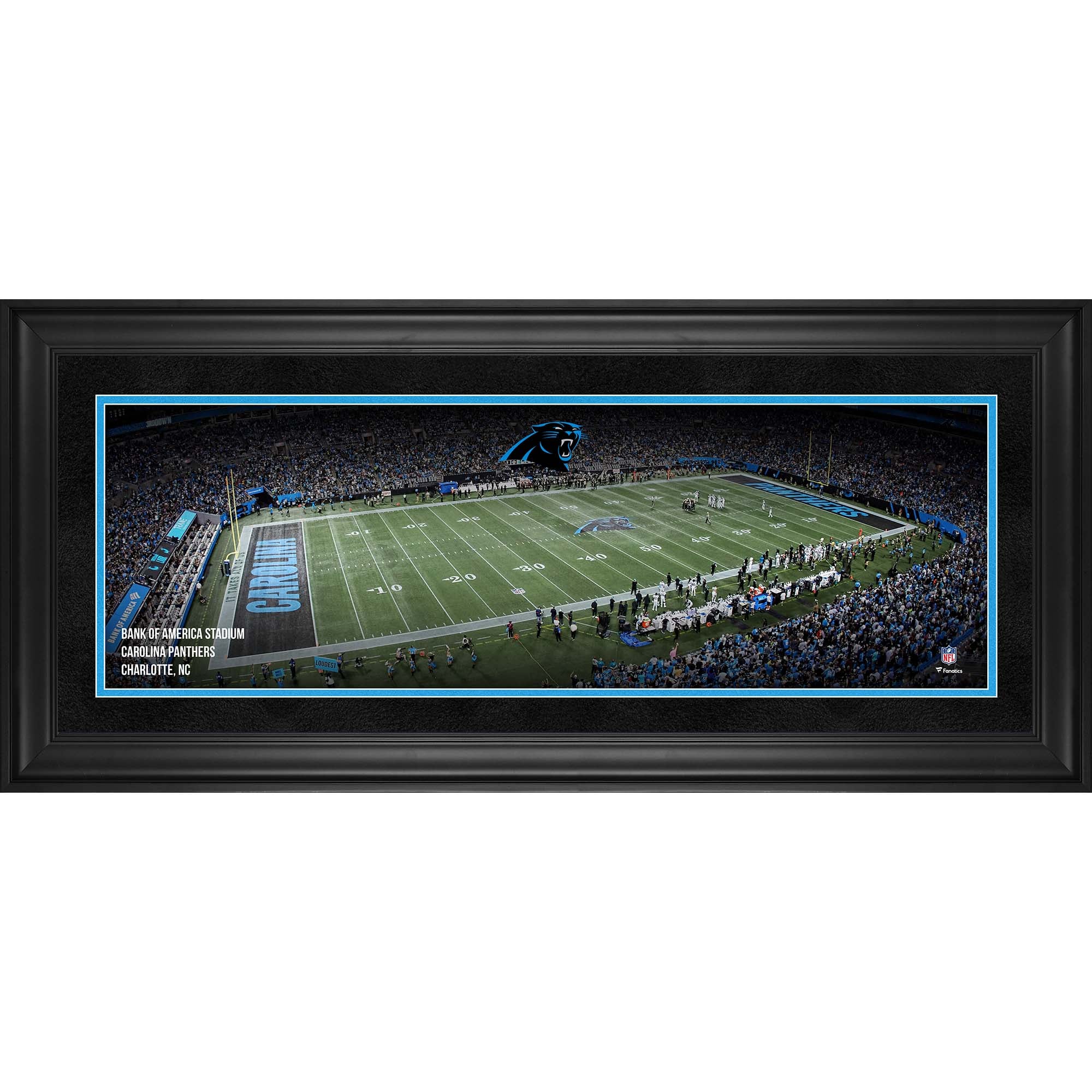 Carolina Panthers Framed 10" x 30" Bank of America Stadium Panoramic Photograph