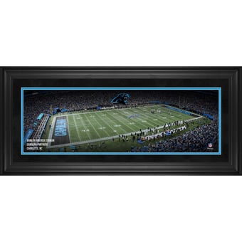 Carolina Panthers Framed 10" x 30" Bank of America Stadium Panoramic Photograph