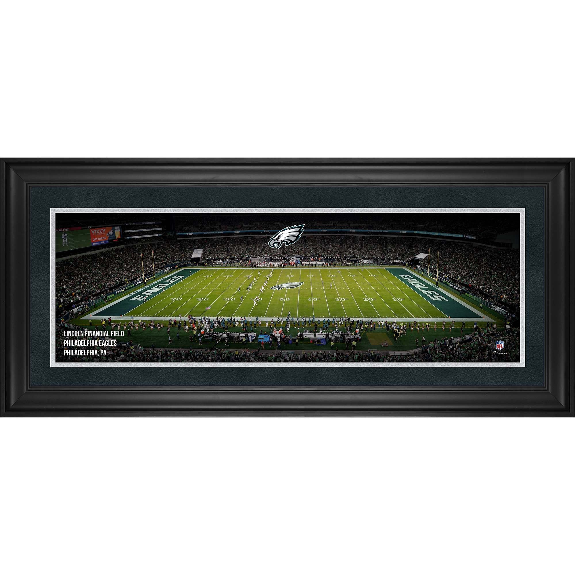 Philadelphia Eagles Framed 10" x 30" Lincoln Financial Field Panoramic Photograph