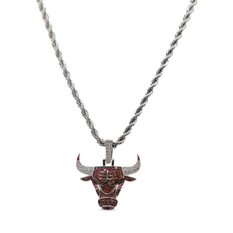 GLD Chicago Bulls 14K White Gold Logo Pendant & 20" Rope Chain